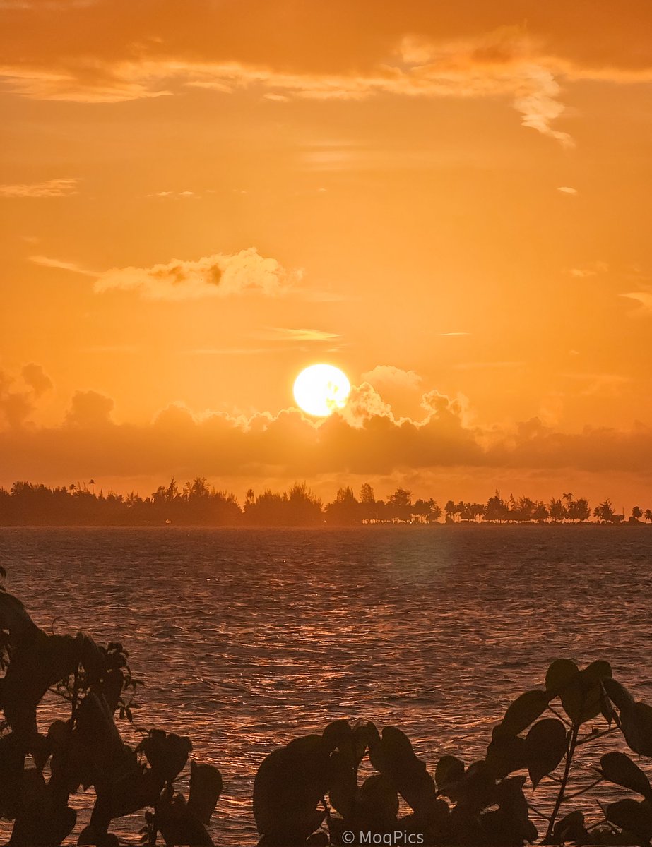moqjazz's tweet image. Después de una semana de trabajo, este fué mi "happy hour". #PuertoRico #sunset @adamonzon @383_787 @DeborahTiempo @AWA_013 @EliRobainaTV @BoricuaVasca @SusanSoltero @bredle @CycloforumsPR @NWSSanJuan @GuaybanaJota @SLopezTiempo @ManuelRoldanPR @KevinDelbrey @mateo_ams @FlorLluch