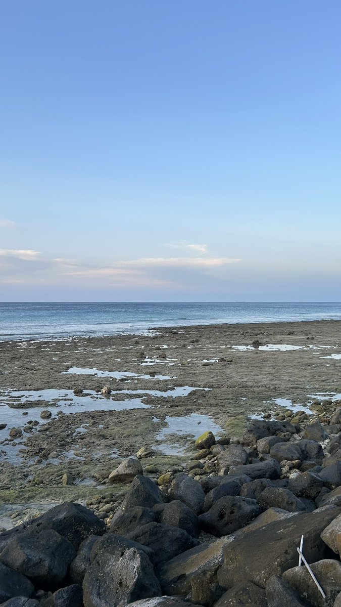 apaajadah tweet media