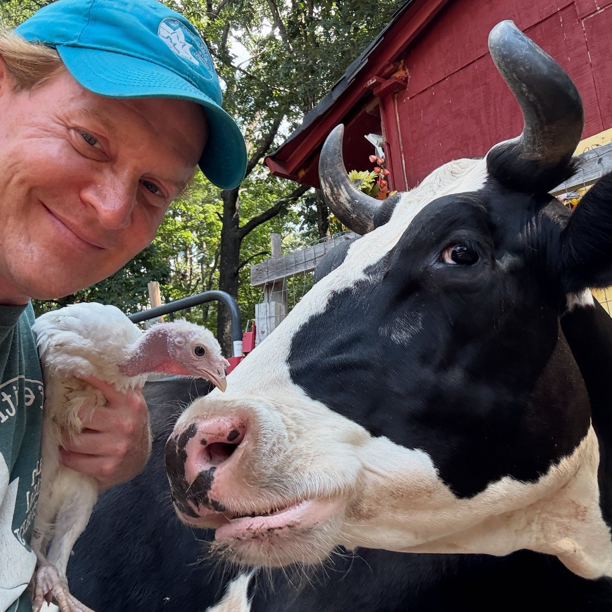 “Don’t Simba Sherman!”  That’s what Mallory said… but this is not Simba-ing.  This is just a simple hello between to hooligans.  Jenna is always gentle with all of the feathered family members.