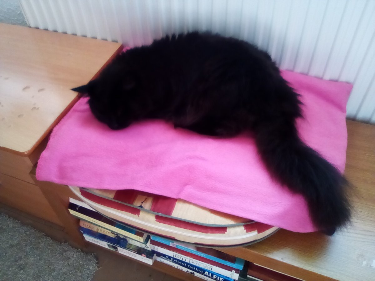 laura watts-fleming in memory of Gabi , Gem🌈 tweet media