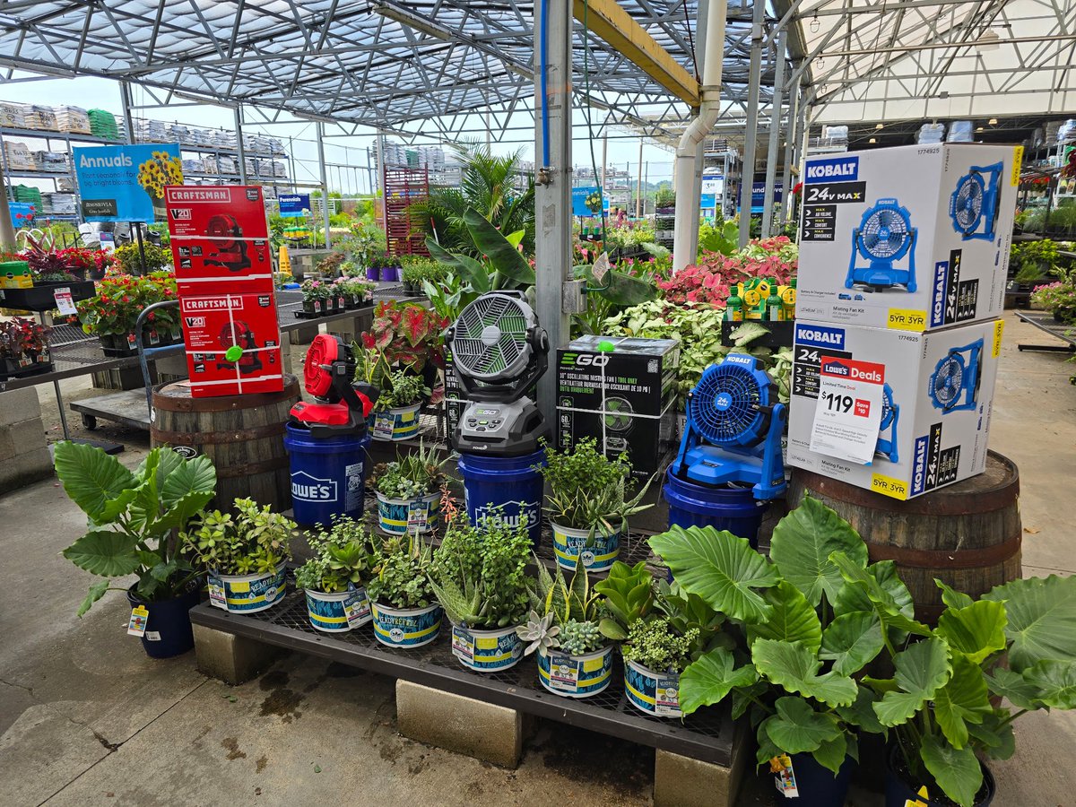 Brendan Torrence tweet media