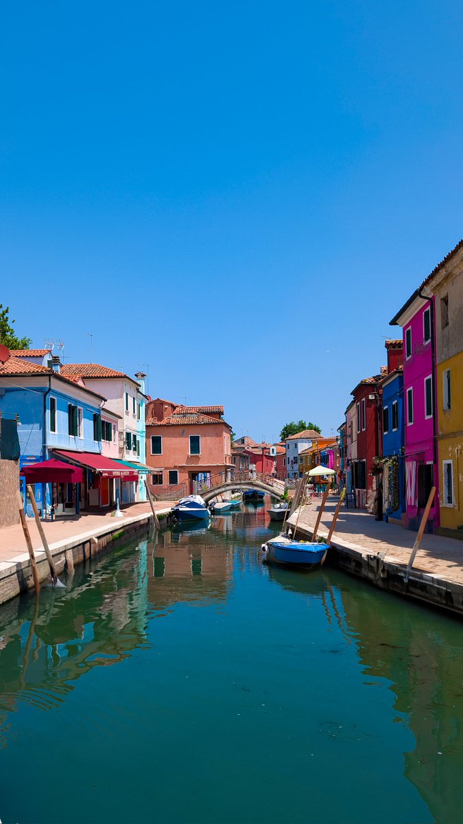 Amani Shayo tweet media