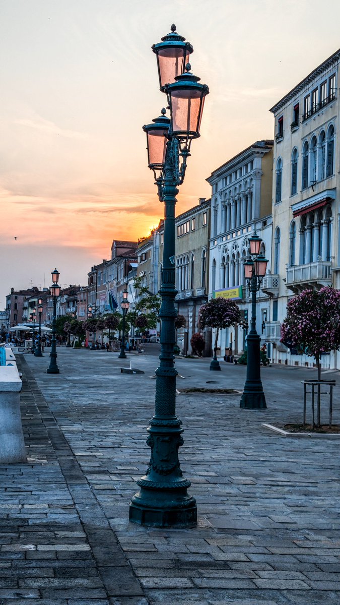 Amani Shayo tweet media