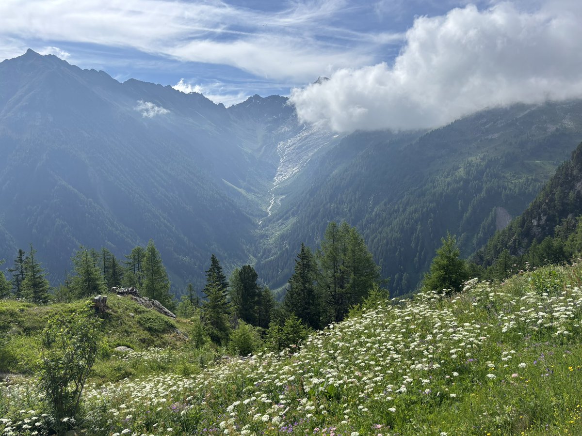 mario_manresa's tweet image. Stage 5 of the #TMB led me to cross from 🇨🇭 to 🇫🇷 at >2,000mts and to the spectacular views of the Mont Blanc massif across the chamonix valley. With close to 90km walked and 5,500mts ascended, it is a blessing to be here.