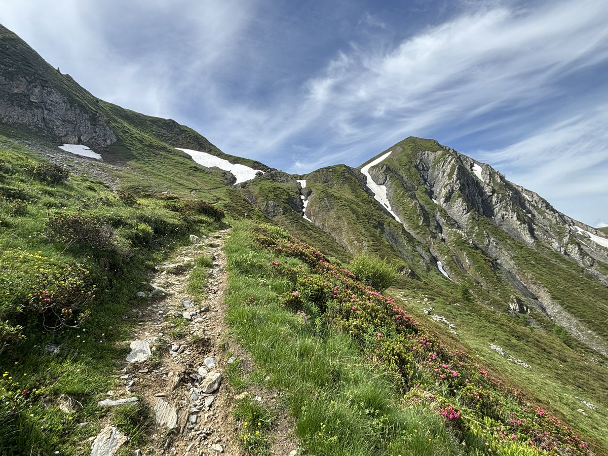 mario_manresa's tweet image. Stage 5 of the #TMB led me to cross from 🇨🇭 to 🇫🇷 at >2,000mts and to the spectacular views of the Mont Blanc massif across the chamonix valley. With close to 90km walked and 5,500mts ascended, it is a blessing to be here.