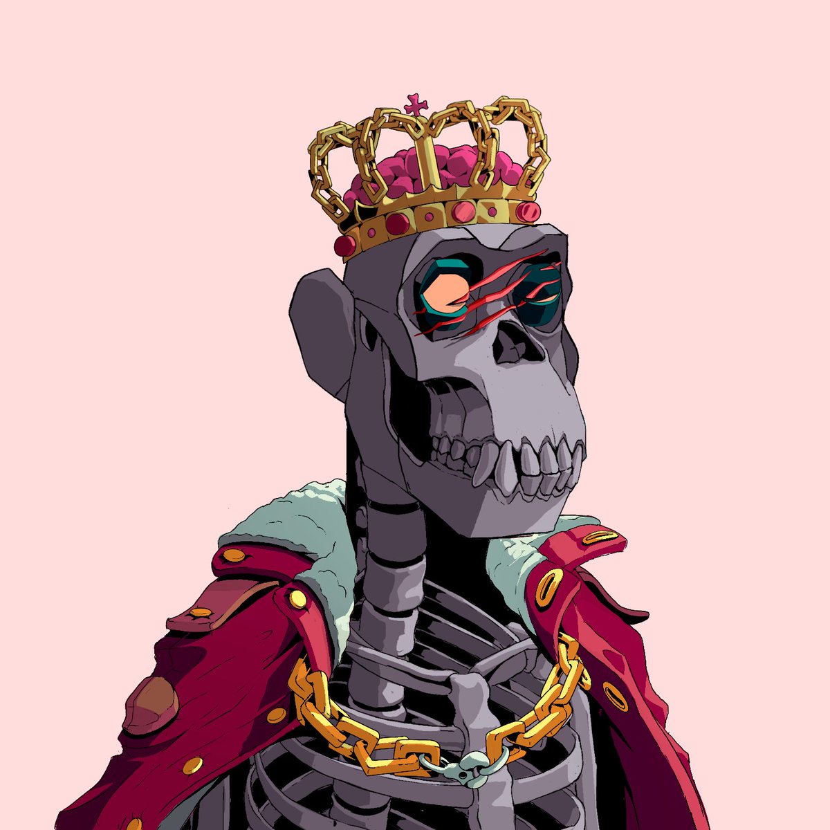 Primates🌿 tweet media