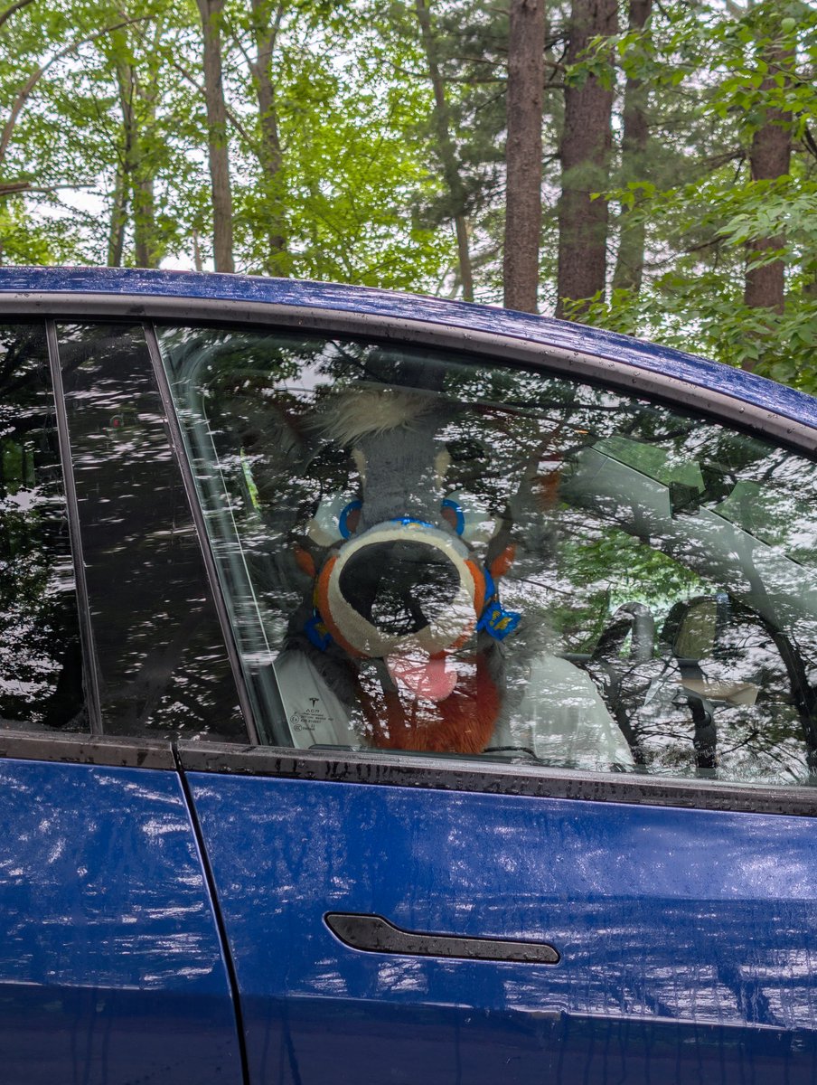 Don't worry, He has his favorite music on