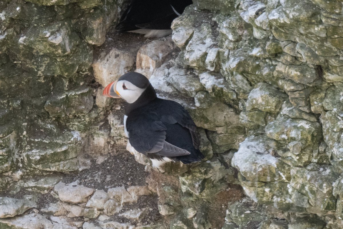 Ian Philip Misselbrook tweet media