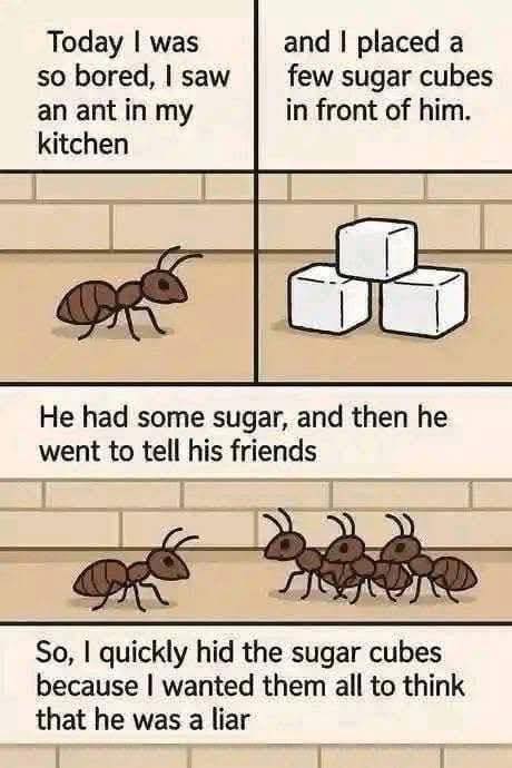 To day i was so bored .............