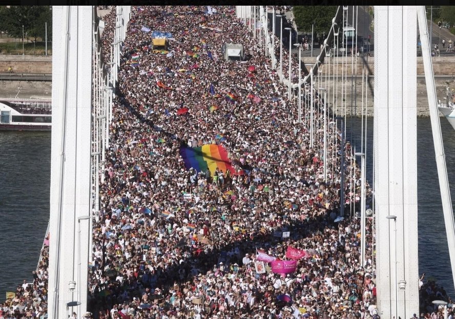 I banned this!

I still remain a master strategist😭😭