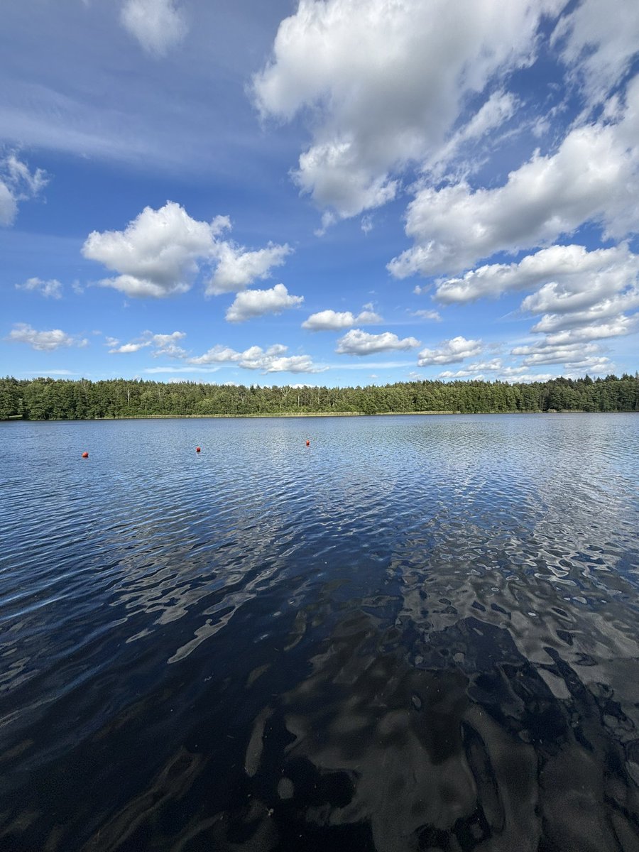 Burda sevgilinle yürüyüşe çıkacaksın sonra akşam bi bakacaksın götüne kene yapışmış 🥀