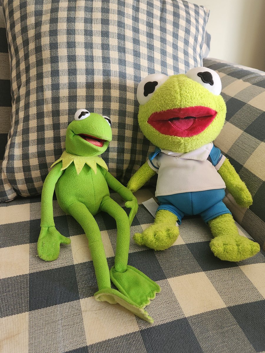 kermy :3 tweet media