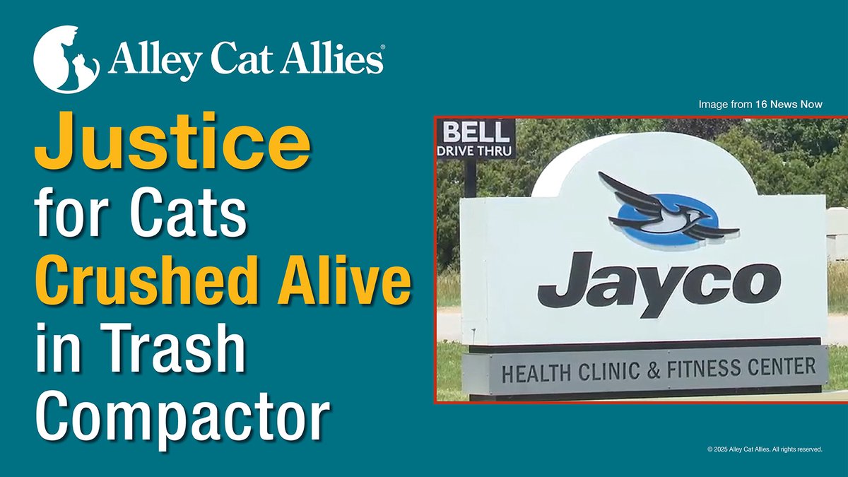 alleycatallies's tweet image. On February 27, three now-former employees at Jayco RV in Elkhart County, Indiana, shoved two cats into a microwave box and used a trash compactor to crush them to death. 

Despite the brutality of this cruelty, the Elkhart County prosecuting attorney decided to drop all charges.