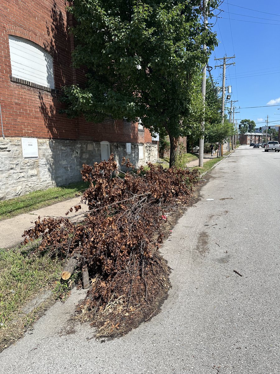 Dan Doelling tweet media