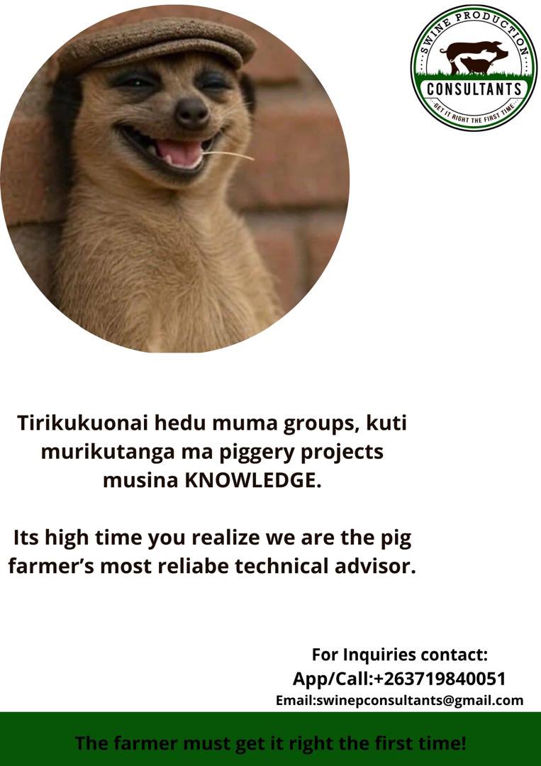 Swine production consultants tweet media