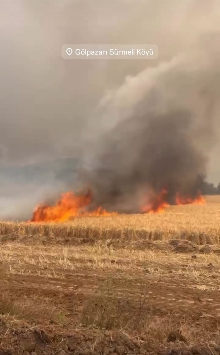 BİLECİK YANİYOR GÖLPAZARI YANIYOR OSMANELİ YANIYOR 
#bilecikyanıyor #bilecik #golpazari #Golpazariyaniyor