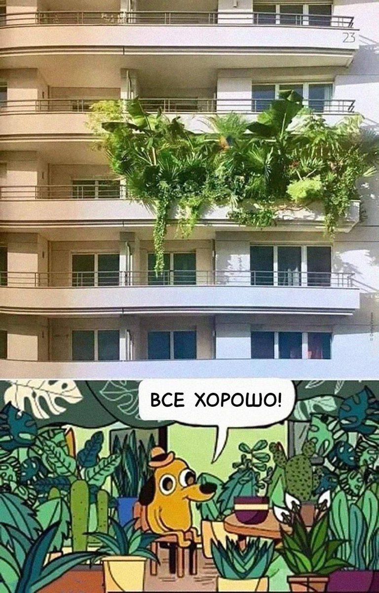 Джулик tweet media