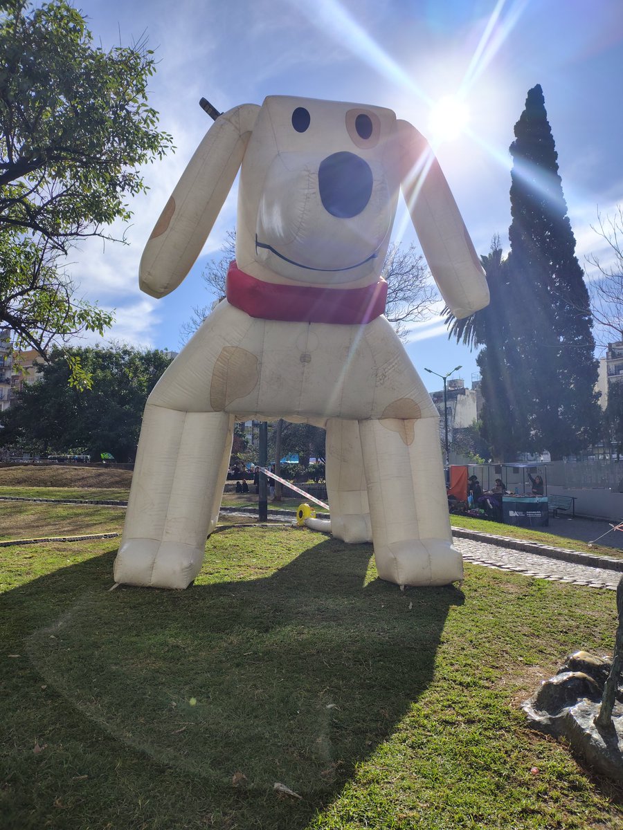 Animales BA tweet media