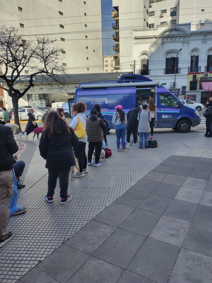 Animales BA tweet media