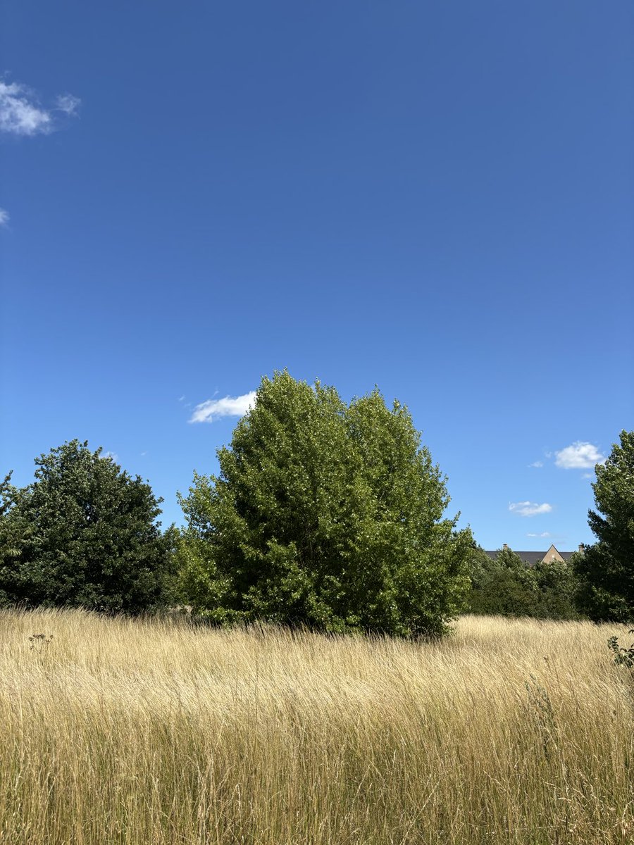 1944cap's tweet photo. ⁦@WeatherAisling⁩ ⁦@ChrisPage90⁩ ⁦@itvweather⁩ #angliapotw #stneots #bluesky #too_hot https://t.co/BjWTOE2bM2