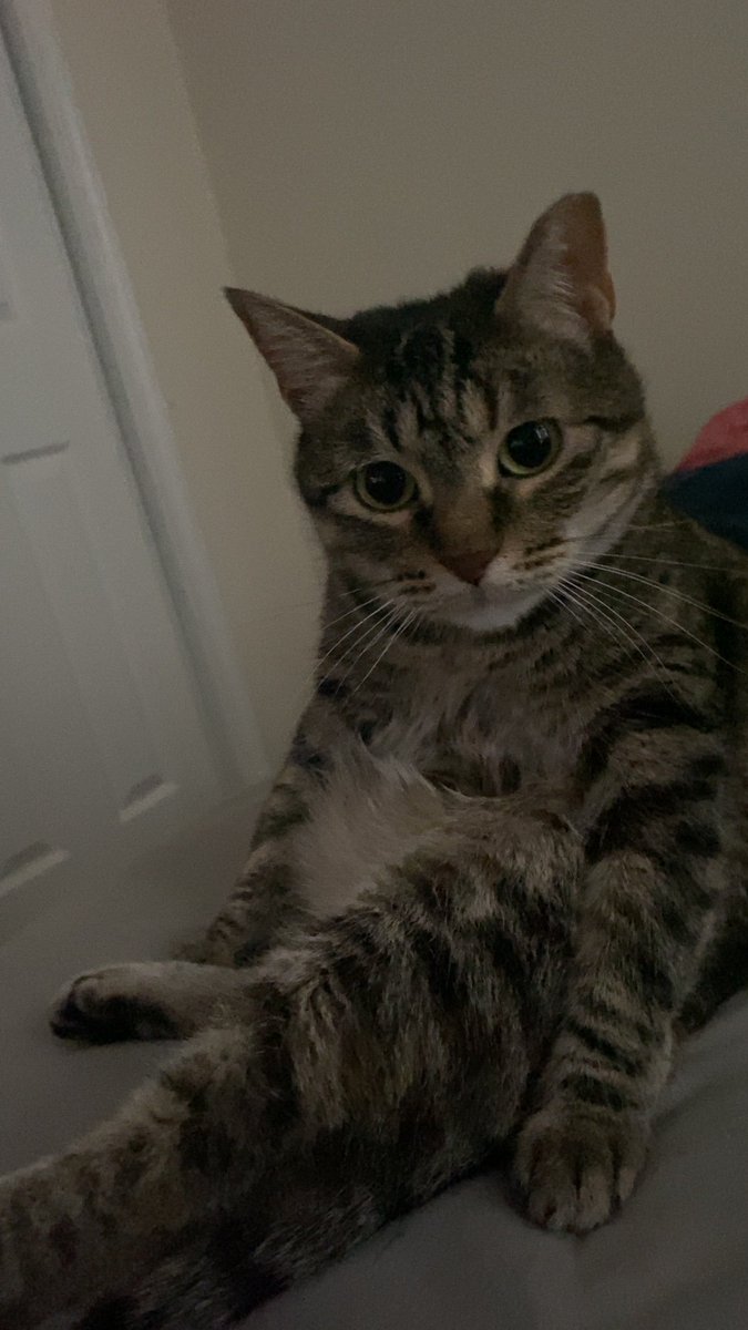 im sorry for interrupting..........