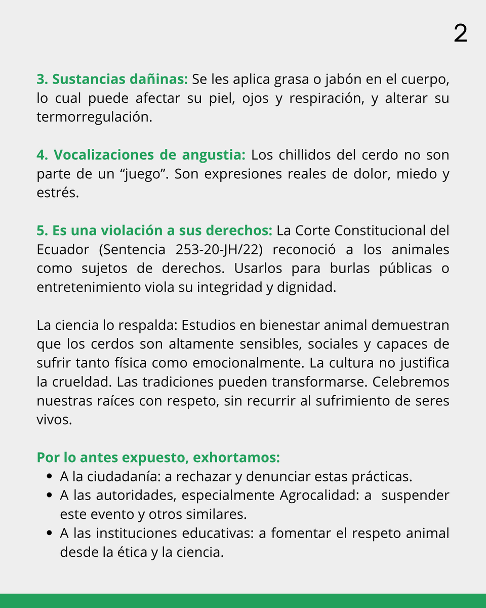 EconexionFund's tweet photo. El @GADsantodomingo está promoviendo, como parte de sus fiestas de cantonización, el uso de animales de granja con fines de entretenimiento. Sin embargo, la ciencia ha comprobado que eventos como el "cerdo encebado" menoscaban su bienestar y no fomentan una cultura de respeto 🧵 https://t.co/f44tinSvy6