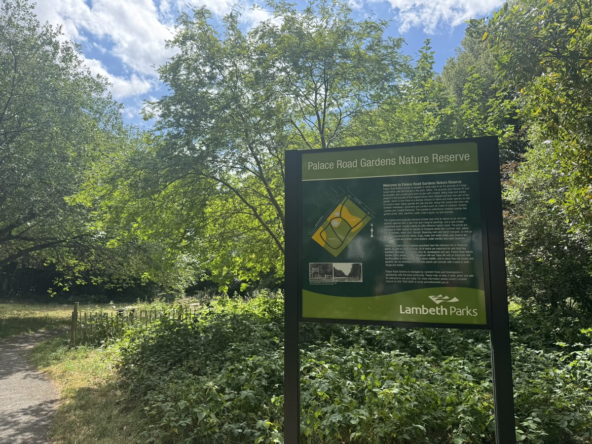 Martin Tiedemann (@mtiedemann) on Twitter photo Great day exploring community gardens and nature spaces in Streatham and taking ideas for Clapham Park and Agnes Riley Gardens. Loved the calendulas at Railside Garden and cake at <a href="/HiveStreatham/">Hive Cafe Streatham</a>. Great day exploring community gardens and nature spaces in Streatham and taking ideas for Clapham Park and Agnes Riley Gardens. Loved the calendulas at Railside Garden and cake at <a href="/HiveStreatham/">Hive Cafe Streatham</a>.
