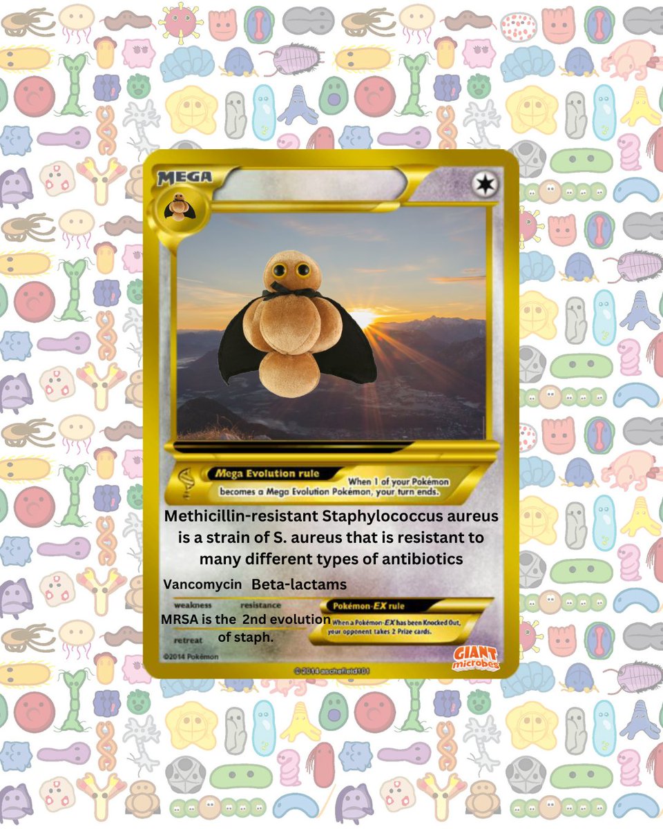 GIANTmicrobes's tweet image. Gotta catch 'em all… under the microscope! 🔬✨
Bacteria battles, virus evolutions &amp;amp; plushies that infect your heart ❤️ (in a good way).
Who's your starter? 👇 
#GIANTmicrobes #PokemonGOFest #CatchEmAll #MicrobialMonsters #ScienceIsCool #STEMFun #Microbiology