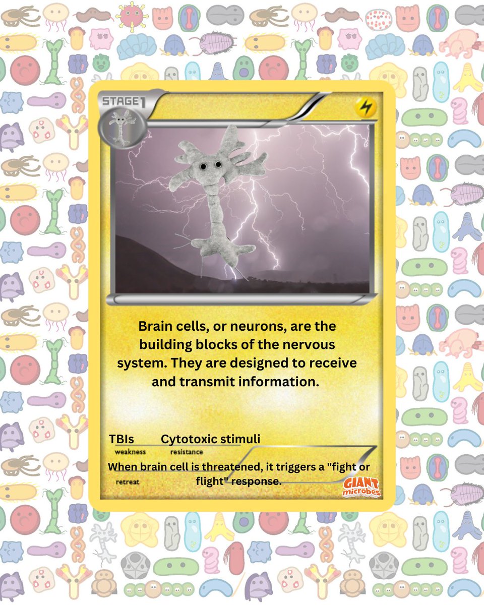 GIANTmicrobes's tweet image. Gotta catch 'em all… under the microscope! 🔬✨
Bacteria battles, virus evolutions &amp;amp; plushies that infect your heart ❤️ (in a good way).
Who's your starter? 👇 
#GIANTmicrobes #PokemonGOFest #CatchEmAll #MicrobialMonsters #ScienceIsCool #STEMFun #Microbiology