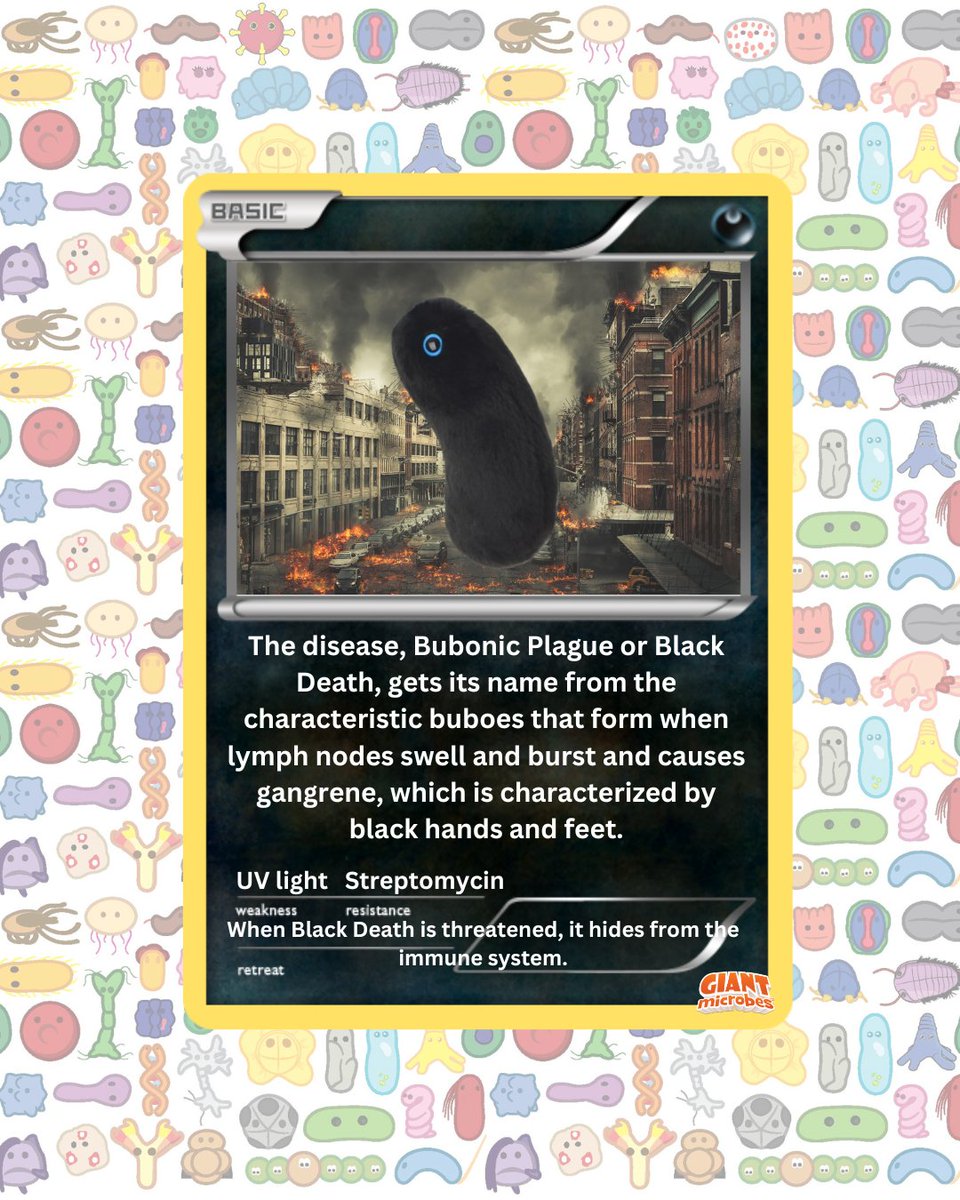 GIANTmicrobes's tweet image. Gotta catch 'em all… under the microscope! 🔬✨
Bacteria battles, virus evolutions &amp;amp; plushies that infect your heart ❤️ (in a good way).
Who's your starter? 👇 
#GIANTmicrobes #PokemonGOFest #CatchEmAll #MicrobialMonsters #ScienceIsCool #STEMFun #Microbiology