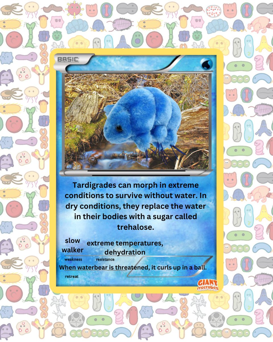 GIANTmicrobes's tweet image. Gotta catch 'em all… under the microscope! 🔬✨
Bacteria battles, virus evolutions &amp;amp; plushies that infect your heart ❤️ (in a good way).
Who's your starter? 👇 
#GIANTmicrobes #PokemonGOFest #CatchEmAll #MicrobialMonsters #ScienceIsCool #STEMFun #Microbiology