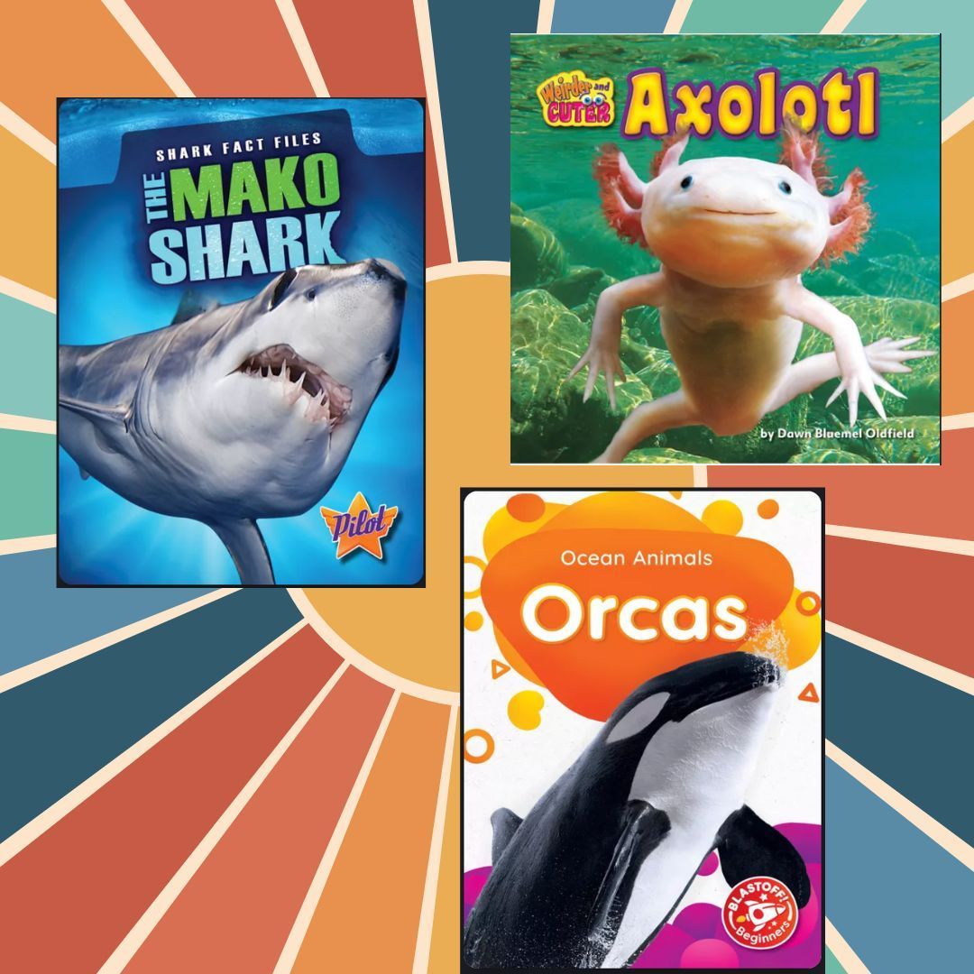 SRCHuskyLibrary's tweet image. ๐ Creatures of the deep await! ๐ฆ๐๐ Dive into Mako Sharks, Orcas, and the adorable Axolotlโnow on Sora Sweet Reads!
๐ Email me for your login! #SRCReads #SoraSweetReads #NonfictionFun #OceanAnimals
bit.ly/45nrHLG