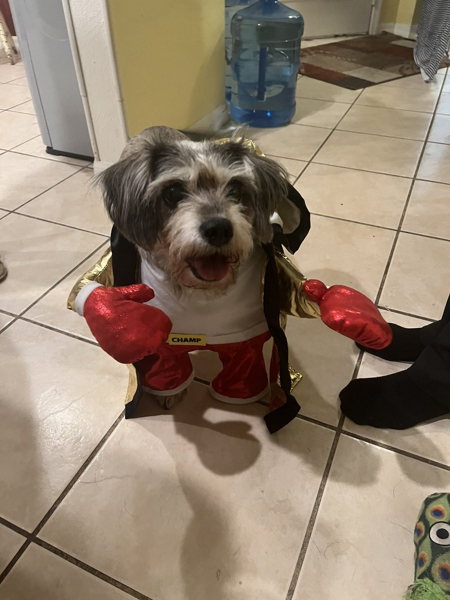 Prospect tweet media