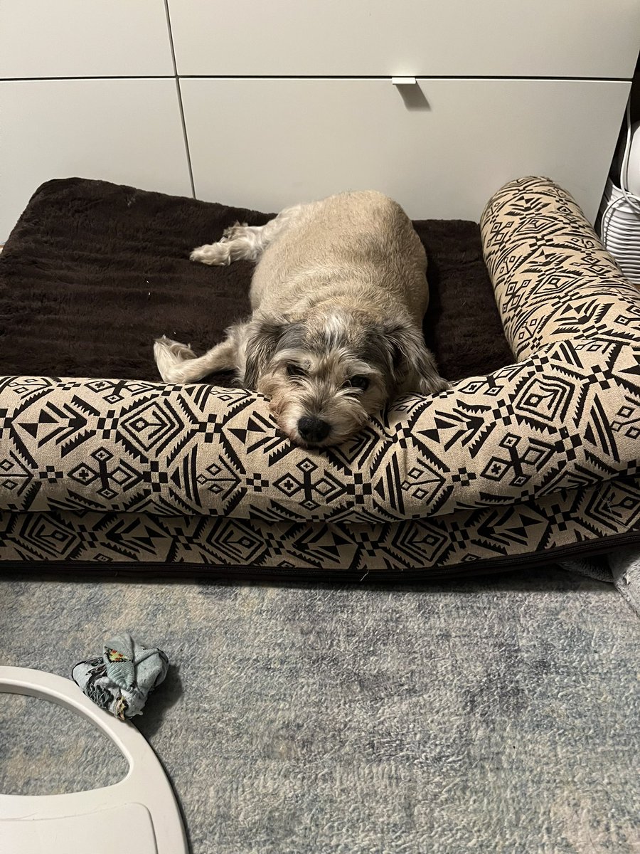 Prospect tweet media