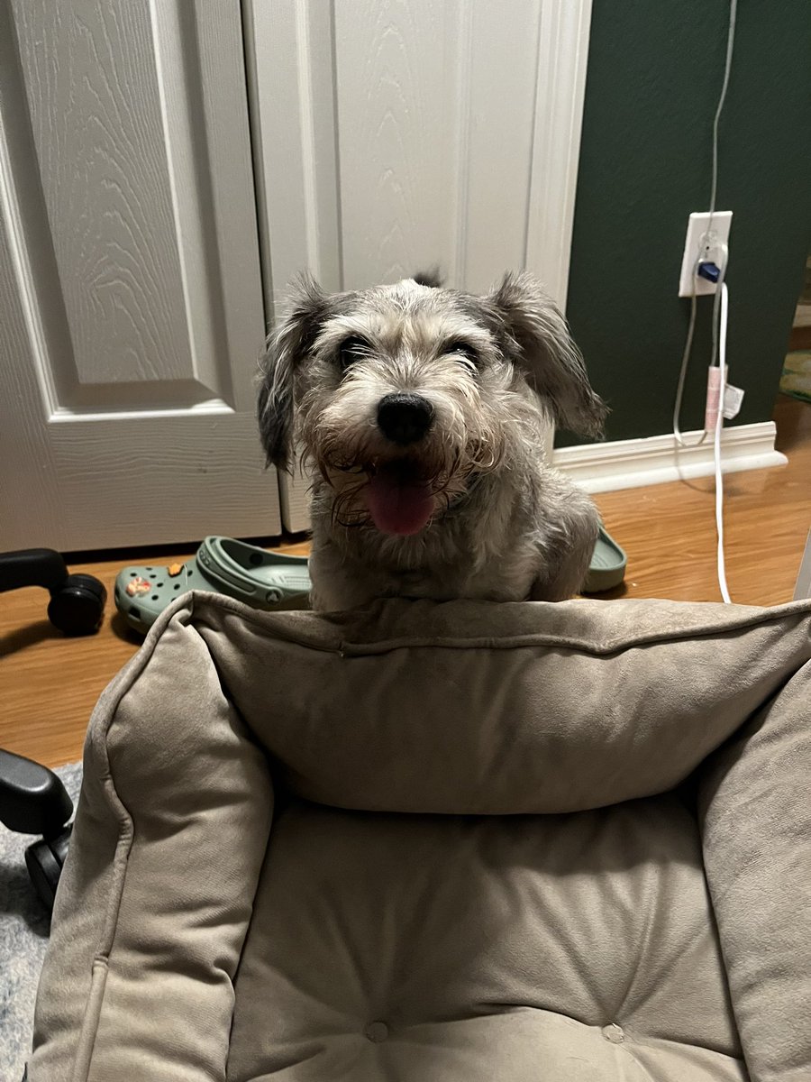 Prospect tweet media