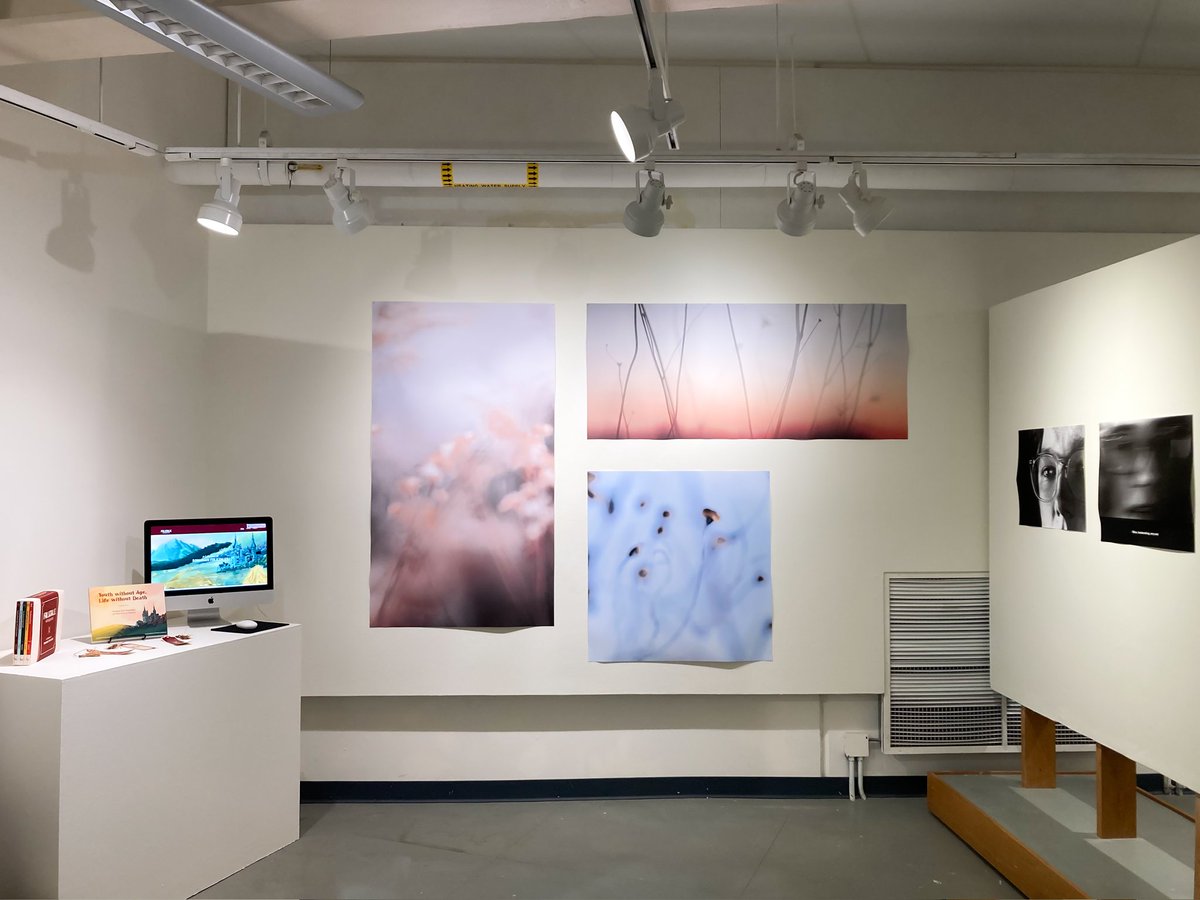 Judsonartdesign's tweet photo. Missed this year's Senior Exhibition? We've got good news! "Wishful Wonders" by Phoebe Phillips is making its second appearance in the Draewell Gallery as part of the Juried Student Show.

#judsonartdesign #judsonawesome #creativesontherise #seniorproject #photography #finearts https://t.co/9vLz9su9HX