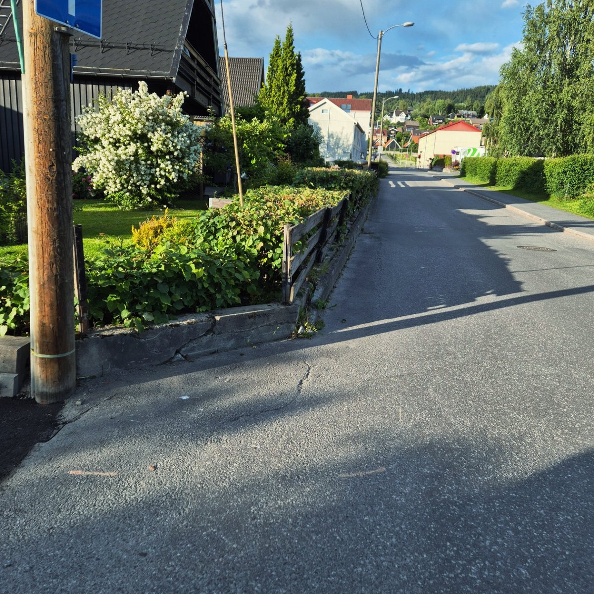 Doramusicana's tweet photo. Some trainspotting on a sunny walk 😍🚆 #train #trainspotting #norwegiantrain #sunnywalk #summerweather #streetphotography #relaxingweekend #summertrees #beautyisallaroundus https://t.co/sLmf3BinfZ