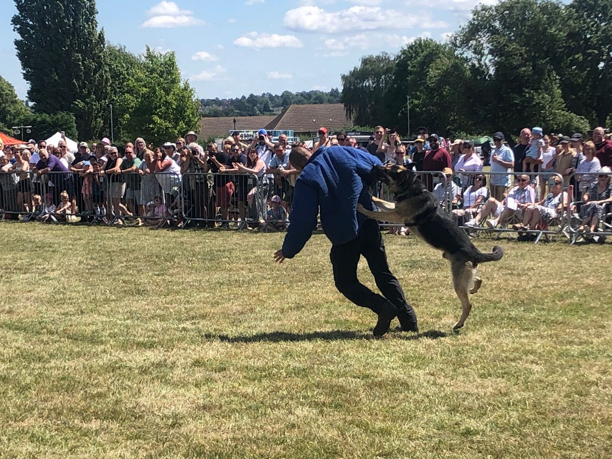 We were invited to do some demos today at the <a href="/Official_DATR/">Defence Animal Training Regiment</a> Open Day. We hope everyone enjoyed meeting some of the dogs and seeing the displays!