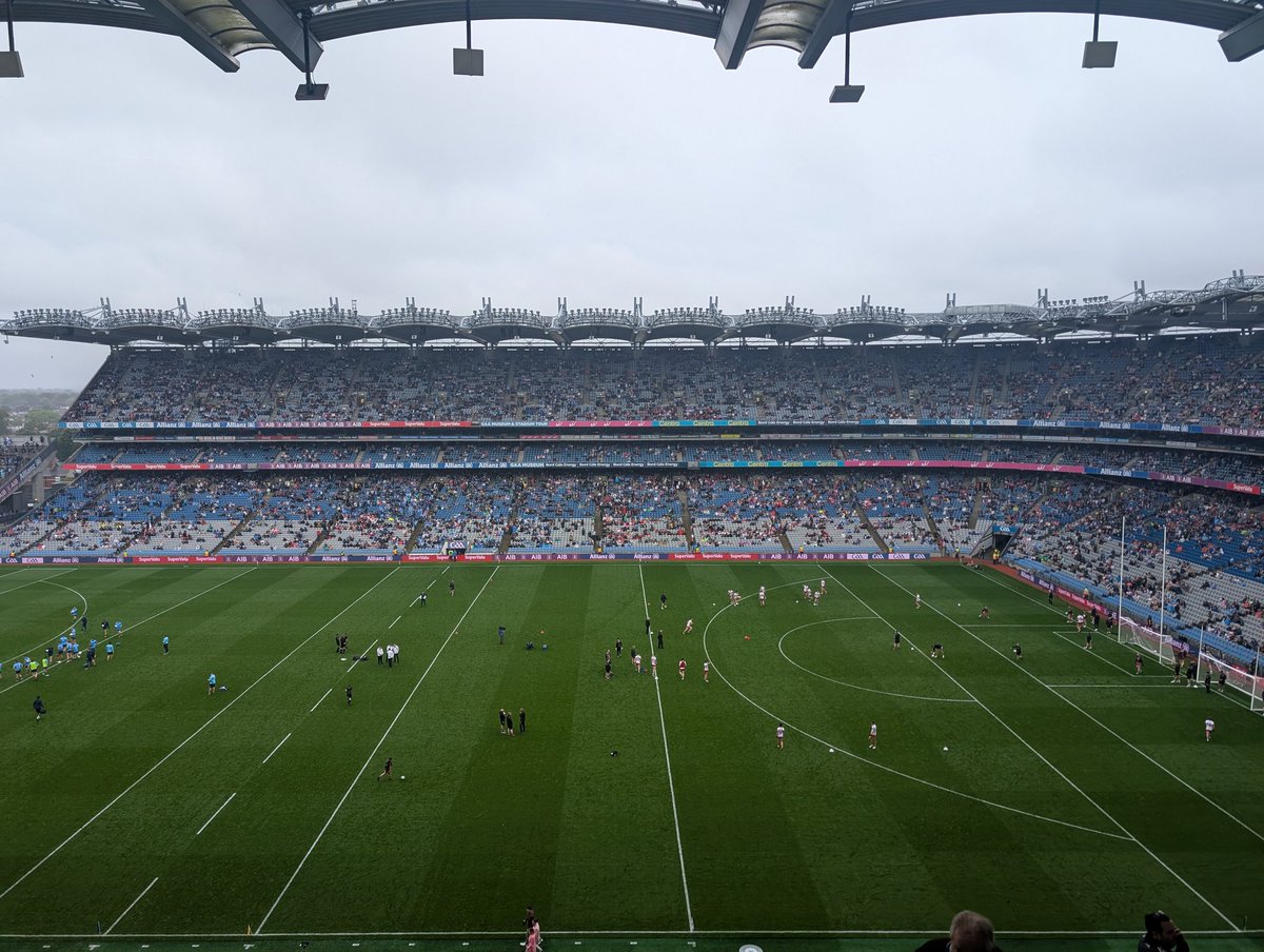 Smaller Fish tweet media