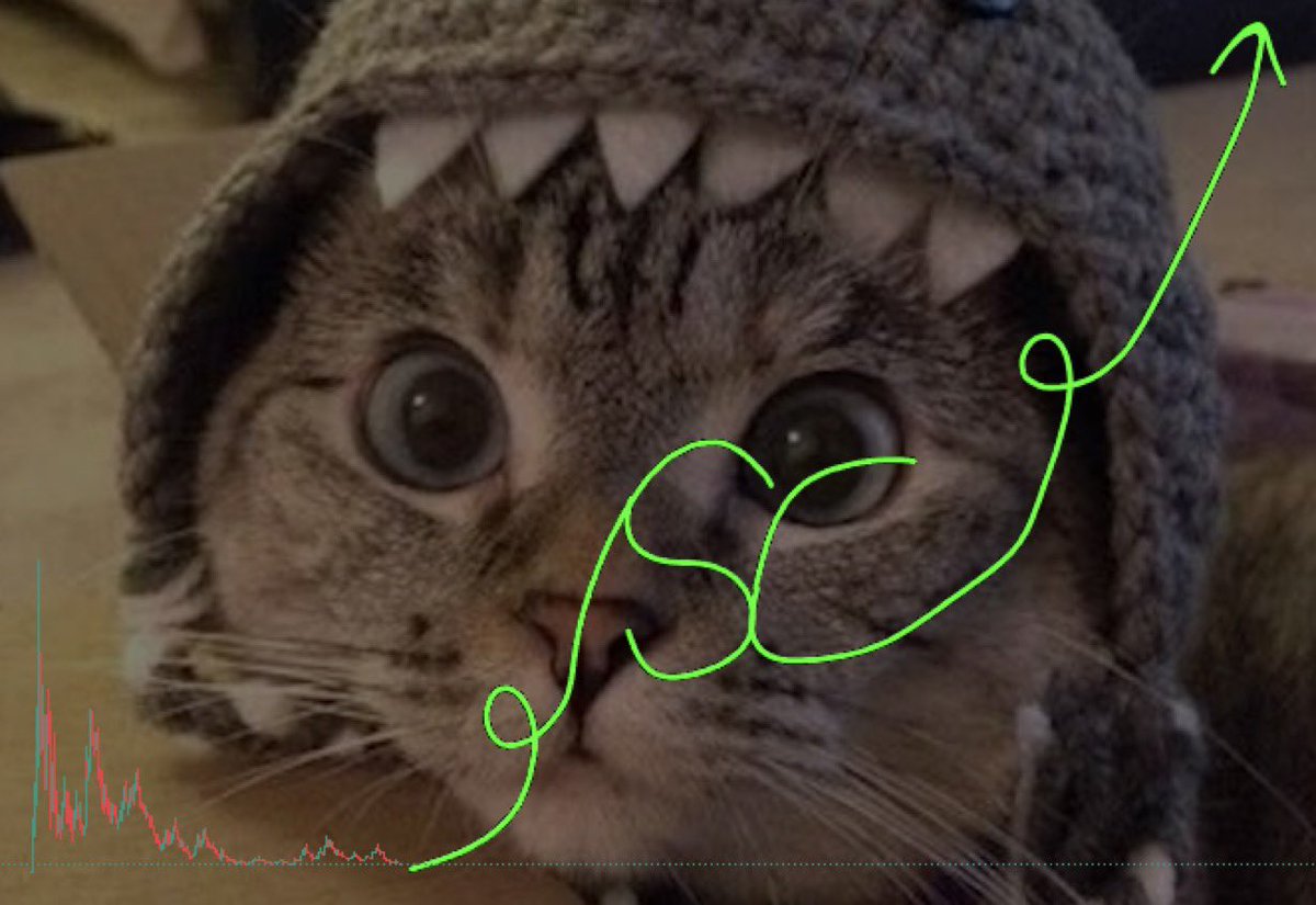 bped45's tweet image. Moon that moon man