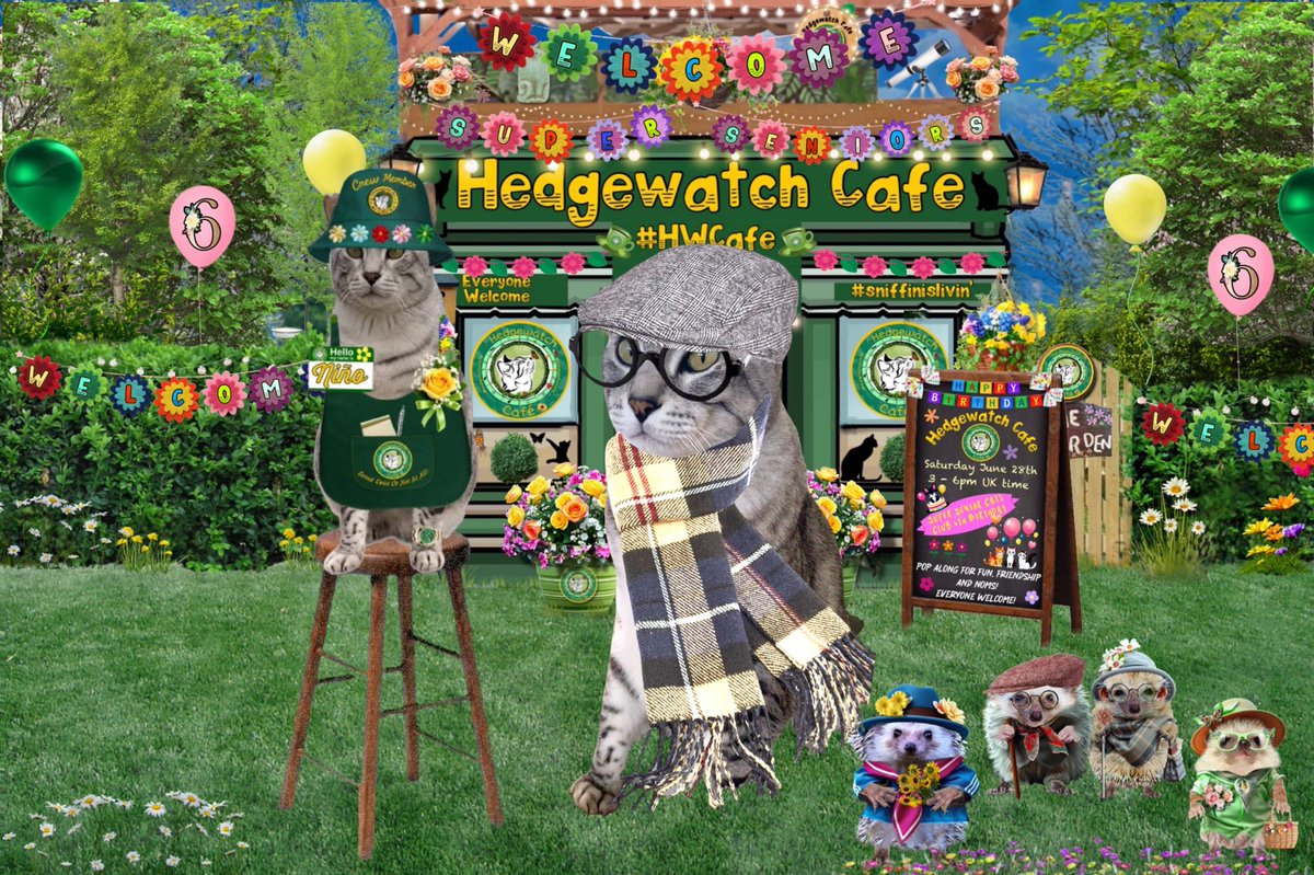 #HWCafe

Ya Fall asleep on the chair again Grandpa ? 
Da Cafe’s Closed !!! 
😹😹
#HWCafe
#SuperSeniorCattsClub