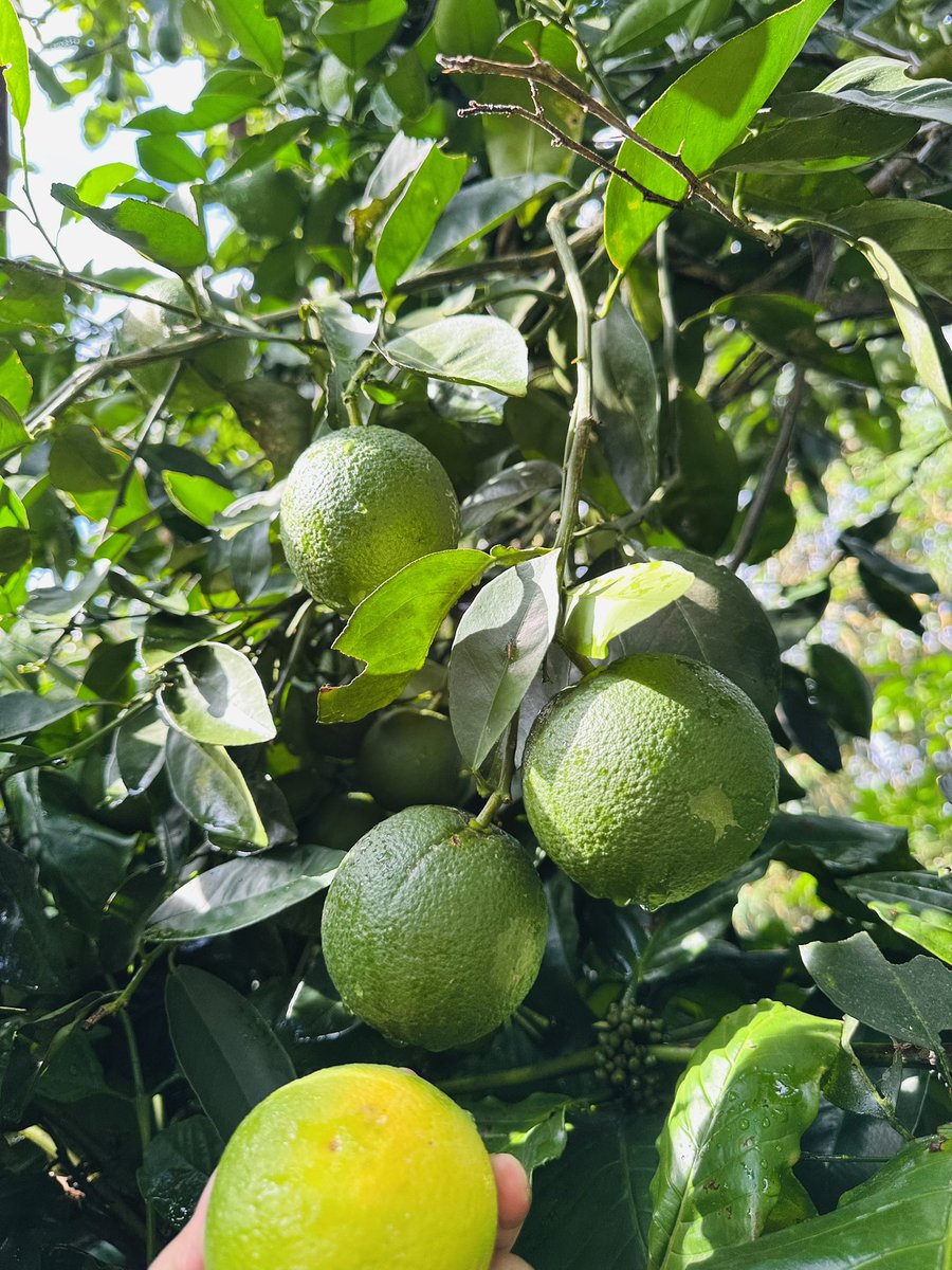 Màu xanhhh hy vọng ❤️