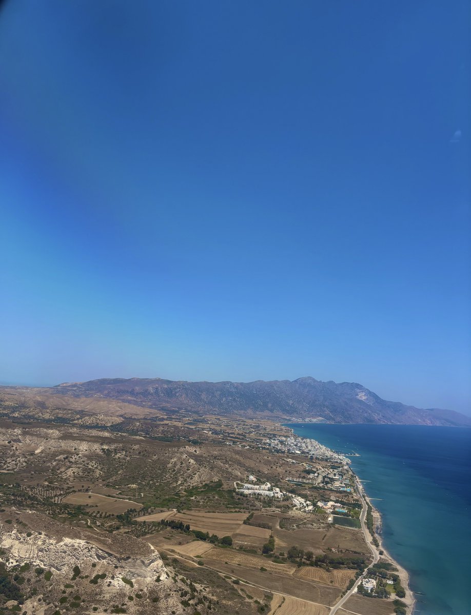 entspannter hase jetzt für eine woche