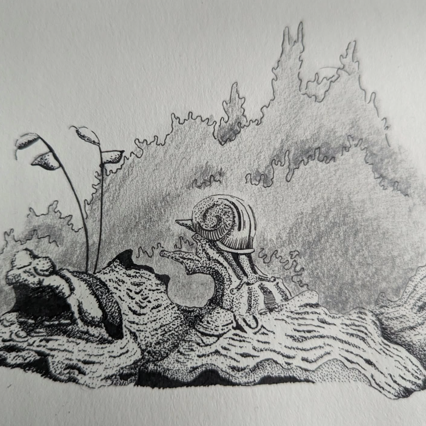 Crafty folks, assemble! 🤖

Why not spice up your junk journaling with pressed flowers or fallen leaves for #30DaysWild? Or you could doodle some wildlife, like our talented Reserve Assistant, Sarah, has 👏

Show us your nature-inspired creations (just cos we're nosey) 👇