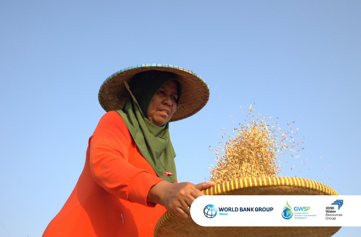 Climate-resilient irrigation is a game-changer. Farmers can produce more food with less water and land.  

With reduced #water stress, increased crop yields, and lower food prices, it can help feed 1.4 billion more people:
wrld.bg/JbQp50S8usz
#LivablePlanet #foodsecurity