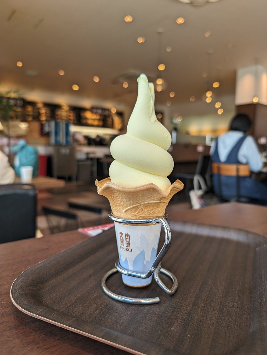 夏って感じだ…！🍨
