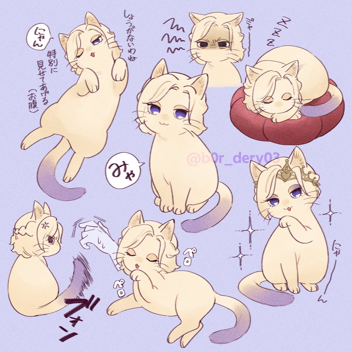 👑っぽいニャンコ…