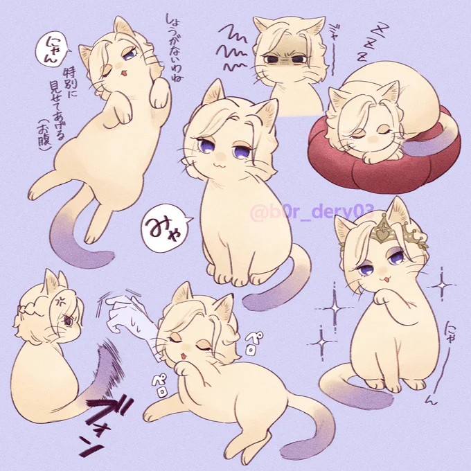 👑っぽいニャンコ… 