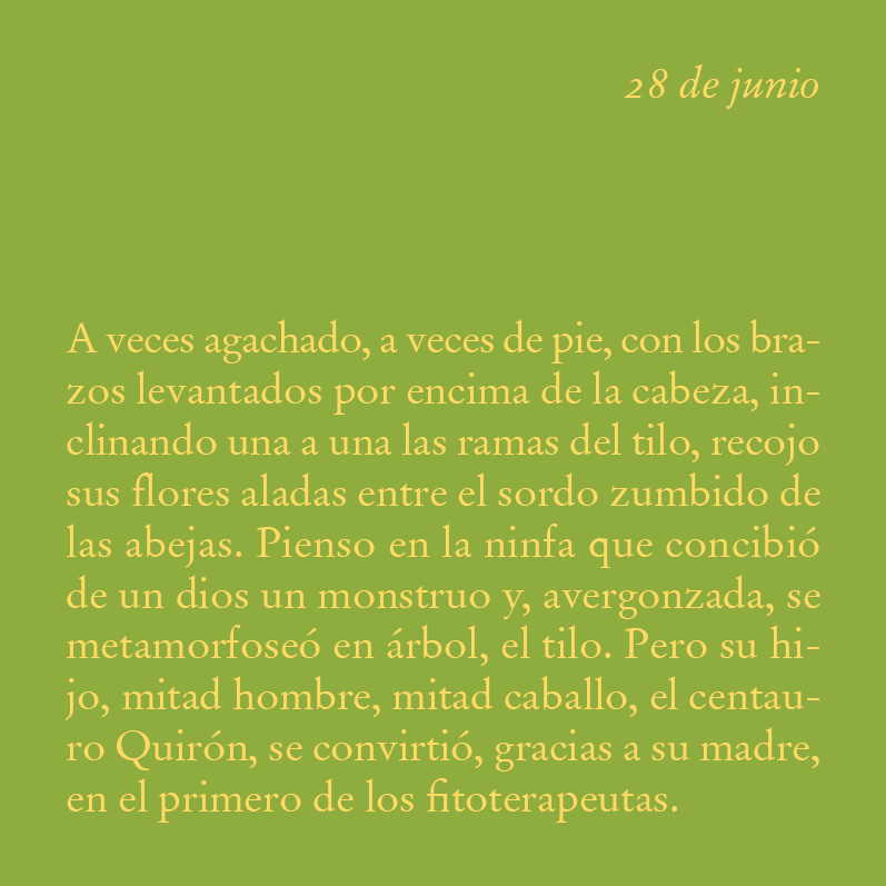 Editorial Periférica tweet media