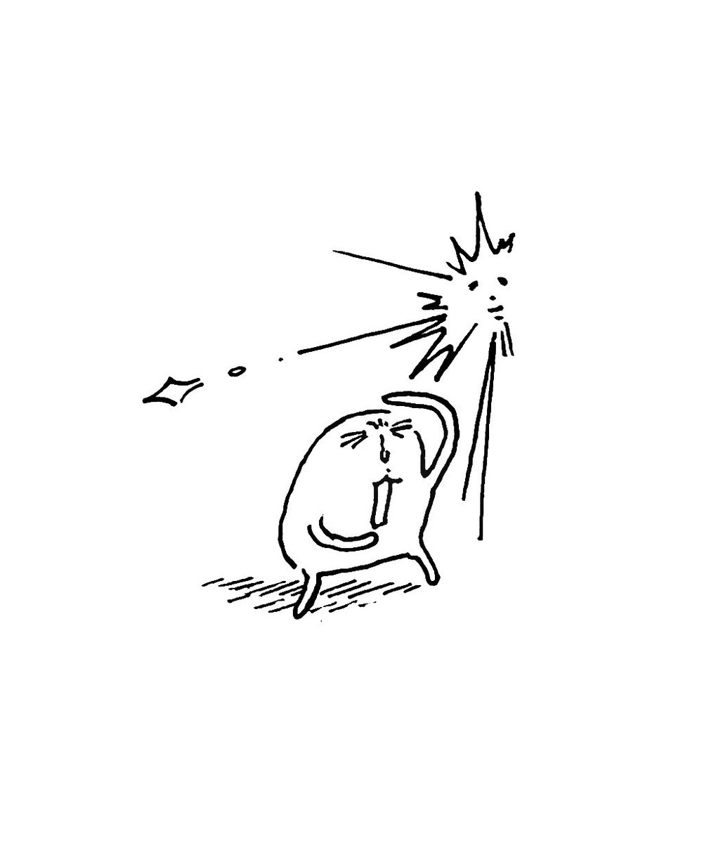 pumupuz's tweet photo. https://t.co/n6UUAfbuqS